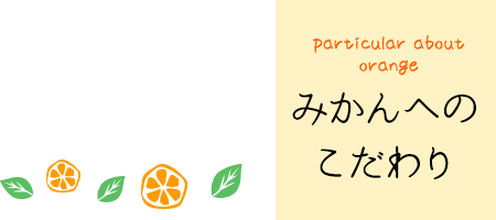 particular about orange みかんへのこだわり