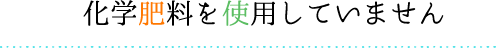 化学肥料を使用していません