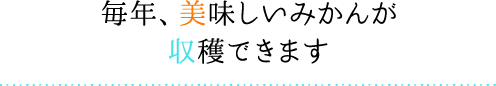 毎年、美味しいみかんが収穫できます