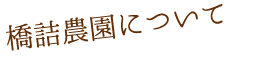 橋詰農園について