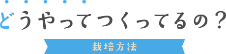 どうやってつくってるの？・栽培方法