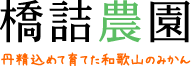 橋詰農園 丹精込めて育てた和歌山のみかん